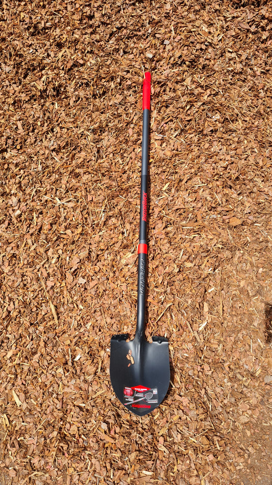 Razorback Amerikanische Spatenschaufel