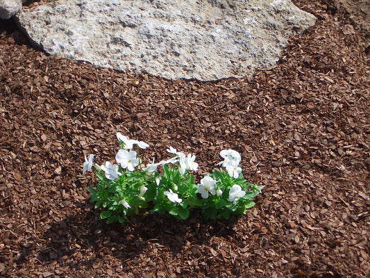 1 Sack 80l Rindenhumus 0-8mm